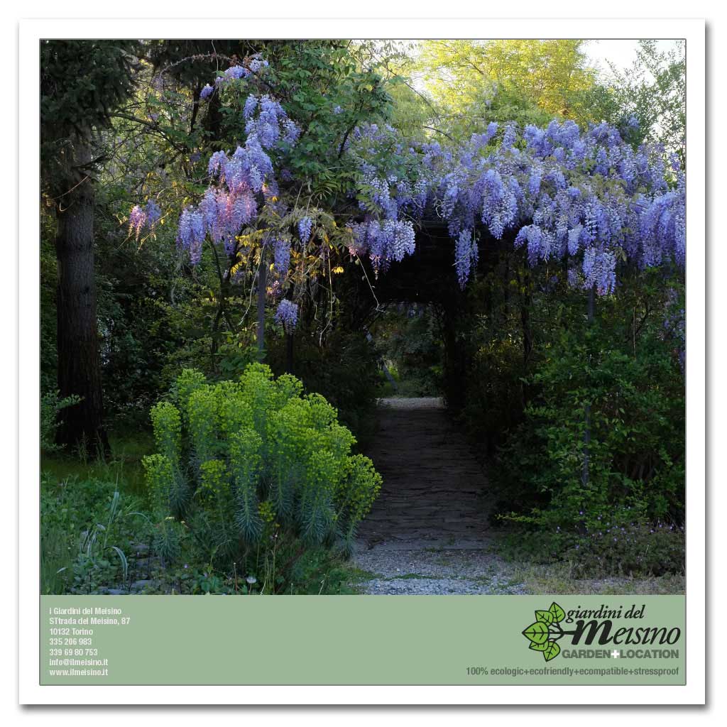 giardini meisino location torino 149